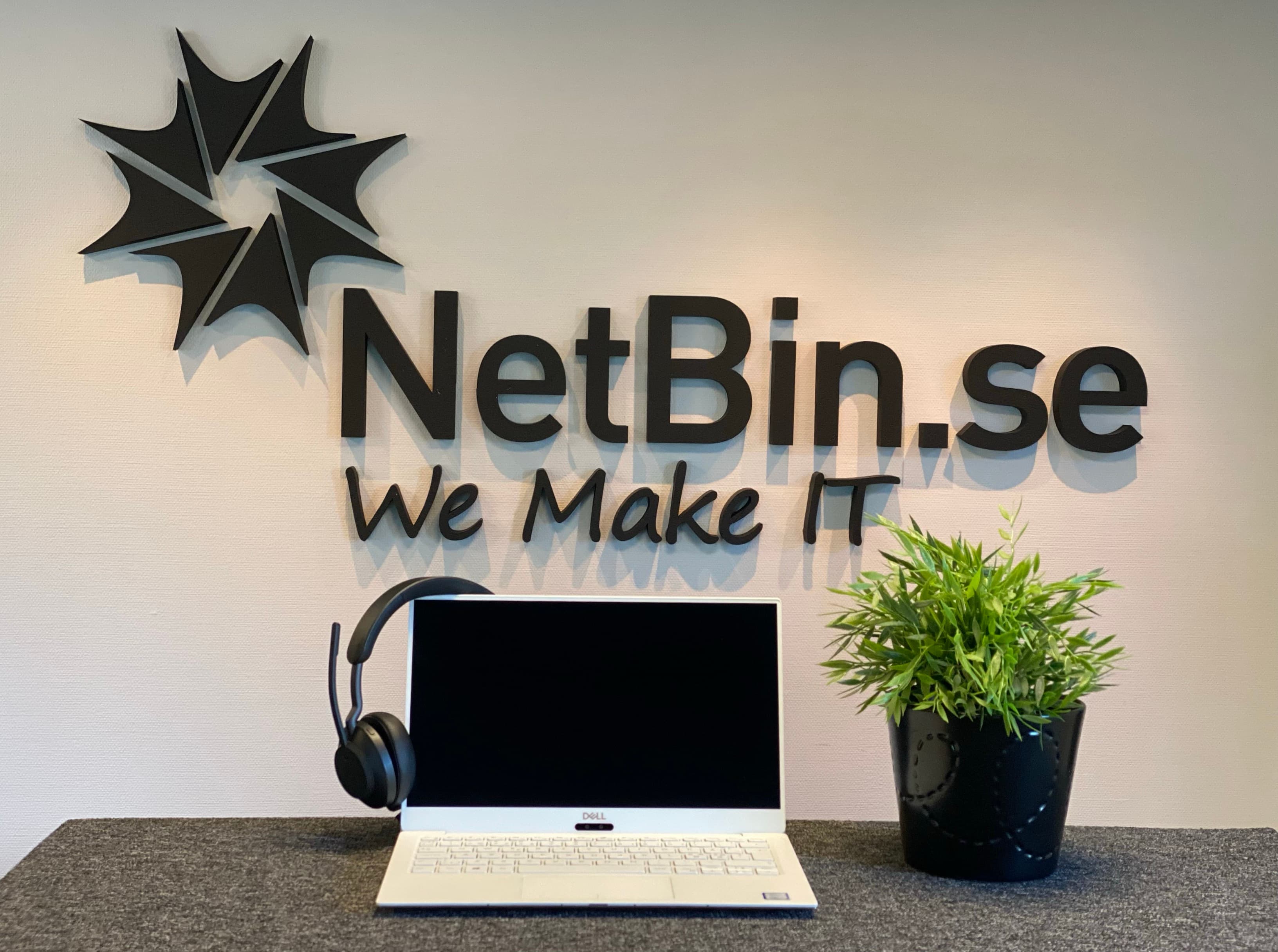 NetBin